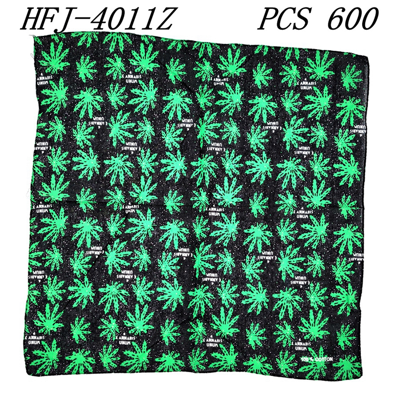 HFJ-4011Z CS600